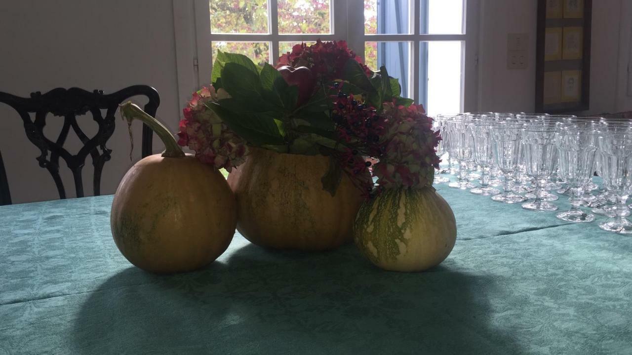 Le Querce Bed & Breakfast Tricesimo Bagian luar foto