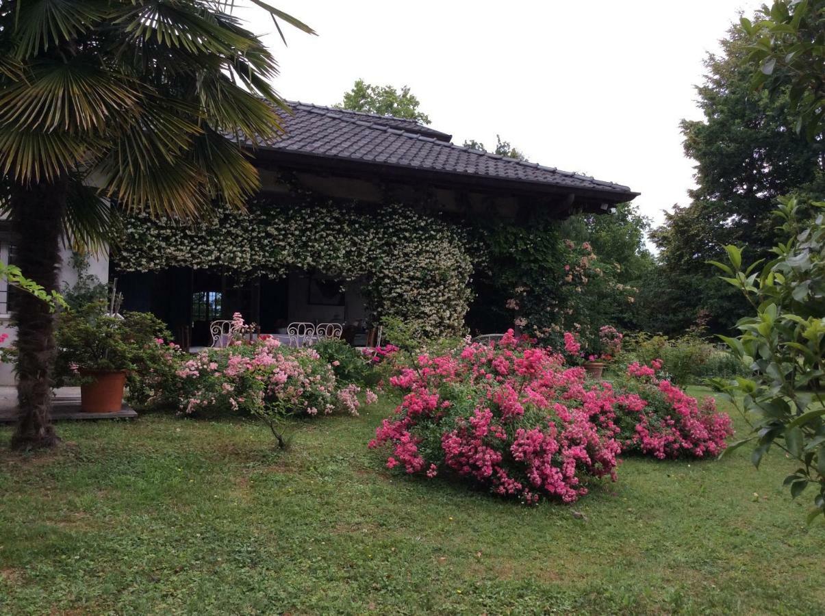 Le Querce Bed & Breakfast Tricesimo Bagian luar foto